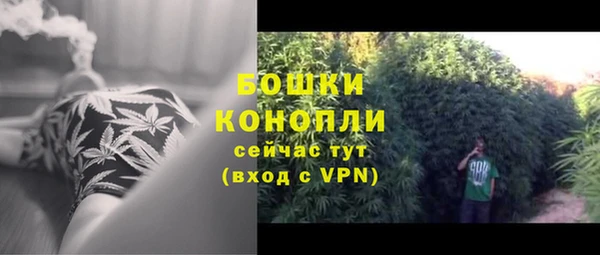 бошки Надым
