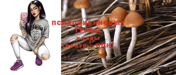 стафф Нея
